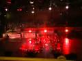 videos de HH formation in lignano.