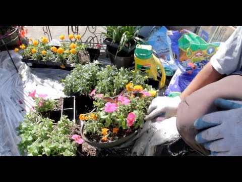 how to plant flowers in a pot