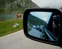 BMWfaq Kdda asturiana 2008 1ª parte