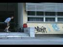 fsboardzidich