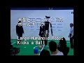 hajimerobot33 kick