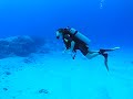 Stevie Scuba Diving Stevie Scuba Diving