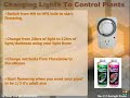 Grow Light Systems Setup For Plants Grow Light Systems Setup For Plants