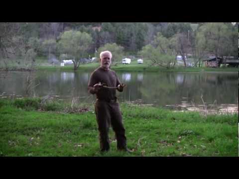 Madison Parker - Like this video and the information E2E has to offer? Donate here: https://www.paypal.com/cgi-bin/webscr?cmd=_s-xclick&hosted_button_id=KW369X2EE9C8N -------...