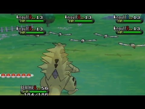 how to ev train pokemon