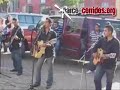 Fuego Sierreño-El Sobrino V2