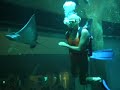 You should watch KARLI SHOW DIVE before you watch this one. This is part two, and the other is part one. Get it? Keep it all sequential, you know?