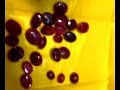 Natural Rubies / Ruby Loose Gemstones Natural Rubies / Ruby Loose Gemstones