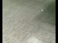 20091205.mp4