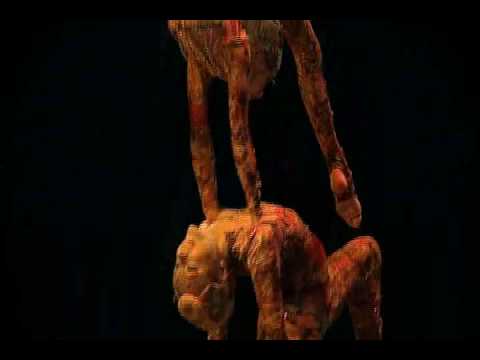 Contortionists from Cirque de Soleil Kooza - simply amazing.