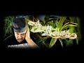 Snippet zu Roger Rekless neuem Album, welches 2009 erscheinen wird.