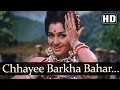 Chhaee Barkha Bahaar - Asha Parekh - Sunil Dutt - Chirag - Old Hindi Songs - Madan Mohan