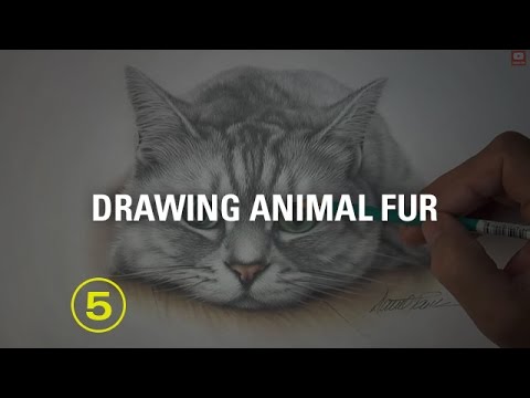 how to draw fur