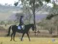 Rocket's dressage at Twba ODE