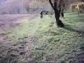 togna sui colli