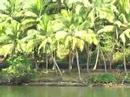 Schifffahrt in Kerala Schifffahrt in Kerala