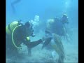 BUCEO EN TENERIFE BUCEO EN TENERIFE