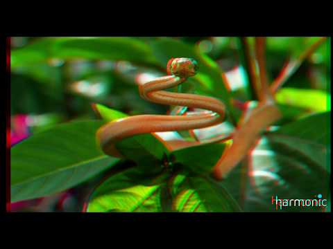 3D Glasses Cyan  Harmonic 4K RED & BLUE Video   Wildlife of Costa Rica in 4K UHD 60 FPS - YouTube