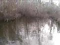 23 Dec 07 Swimbaits in NC