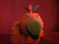 TMBG-Friday Video Podcast 3/8/08