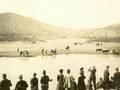 The Mexican Revolution - Introduction