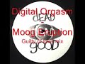 digital orgasm   moog eruption  guilty of love remix 