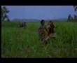 Thalukki-Thalukki-Ki