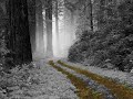 Stek - Unpredictable Future (Experimental / Ambient)