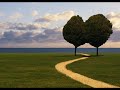 CAMINOS MARCADOS
