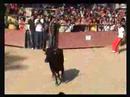 Shmily chetii toros bla bla bla