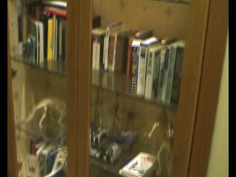 Video of Hotel Zara