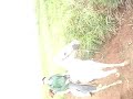 debora, matheus, pedro e luana :p