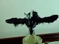 The Raven
