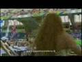 tribute to helena paparizou 