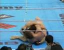Almeida vs Marquardt