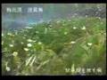 梅花藻