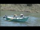 Steelhead Fishing on the Rogue River