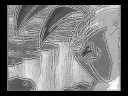 dedication to DBZcrazy3253