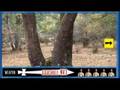 videos de TA20553 (parte de Tube-Adventures 2)