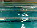 finswimming 2008-05-11 elektrenai finswimming 2008-05-11 elektrenai