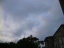 Bats at dusk, Ryde