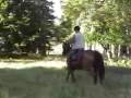 www.gite-laboudio.fr / cantal auvergne