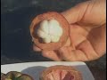 Xango - Discover the Goodness