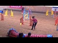 Agility WM-Qualis Niebüll 2011