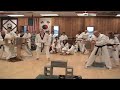 4th dan test, part 4, breaking or kyukpa