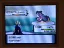 pokemon Diamond/pearl Elite Four Bertha
