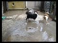 DSCF0725