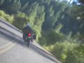 Deer Jumps a Triumph in Oregon