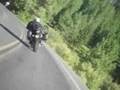 videos de Deer Jumps a Triumph in Oregon