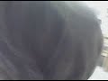 VID 00080